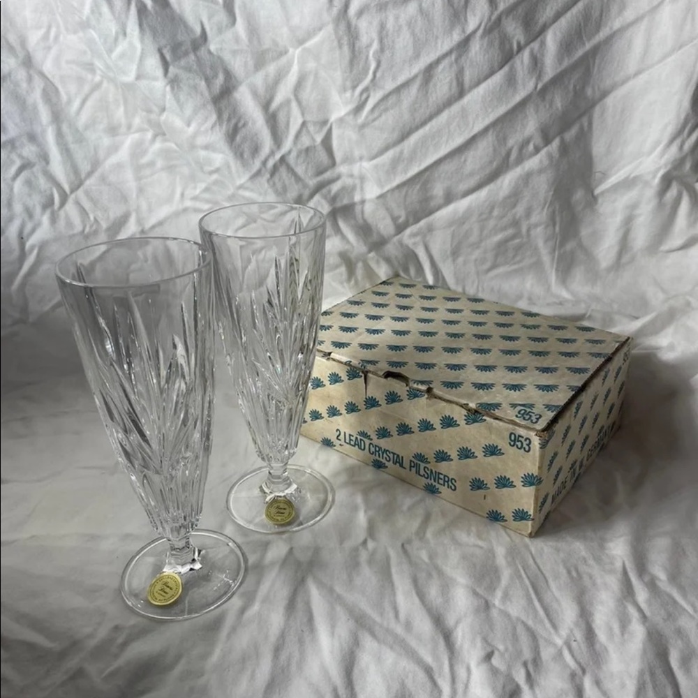 Princess House Crystal Pilsner Glasses (set of 2)